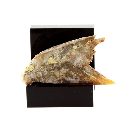 Gypse. 59.7 carats. Bassin Parisien, France