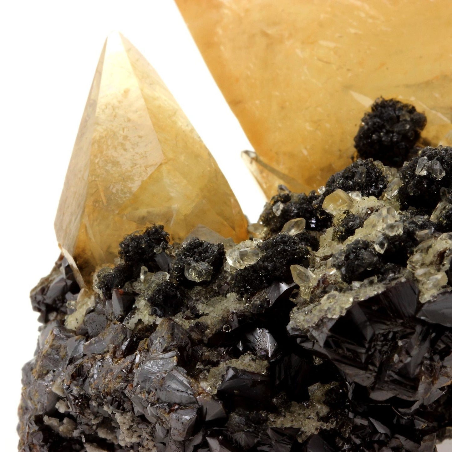 Calcite + Sphalerite. 1840.0 carats. En provenance de Elmwood mine, Carthage, Smith Co., Tennessee, USA