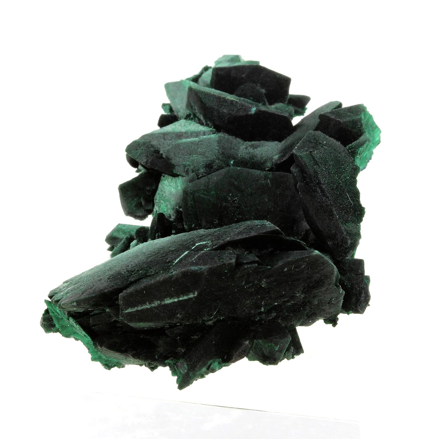 Malachite après Azurite. 368.0 carats. Milpillas Mine, Sonora, Mexique