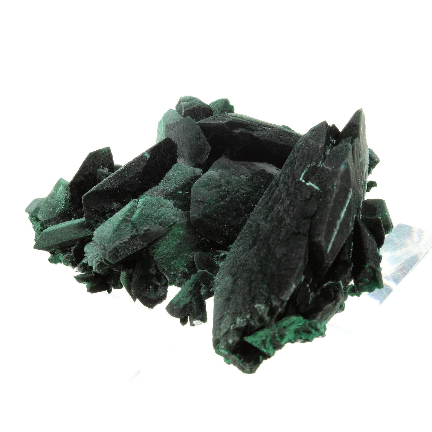 Malachite après Azurite. 368.0 carats. Milpillas Mine, Sonora, Mexique