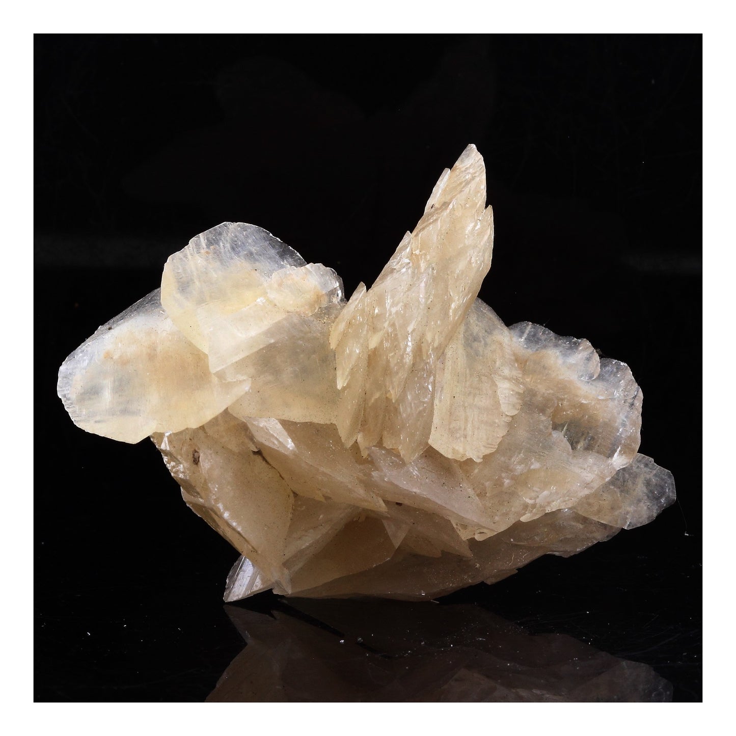 Gypse. 167.0 carats. Zaragoza, Aragón, Espagne