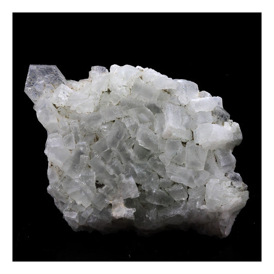 Prehnite. 89.0 carats. La Combe de la Selle, Bourg d'Oisans, France