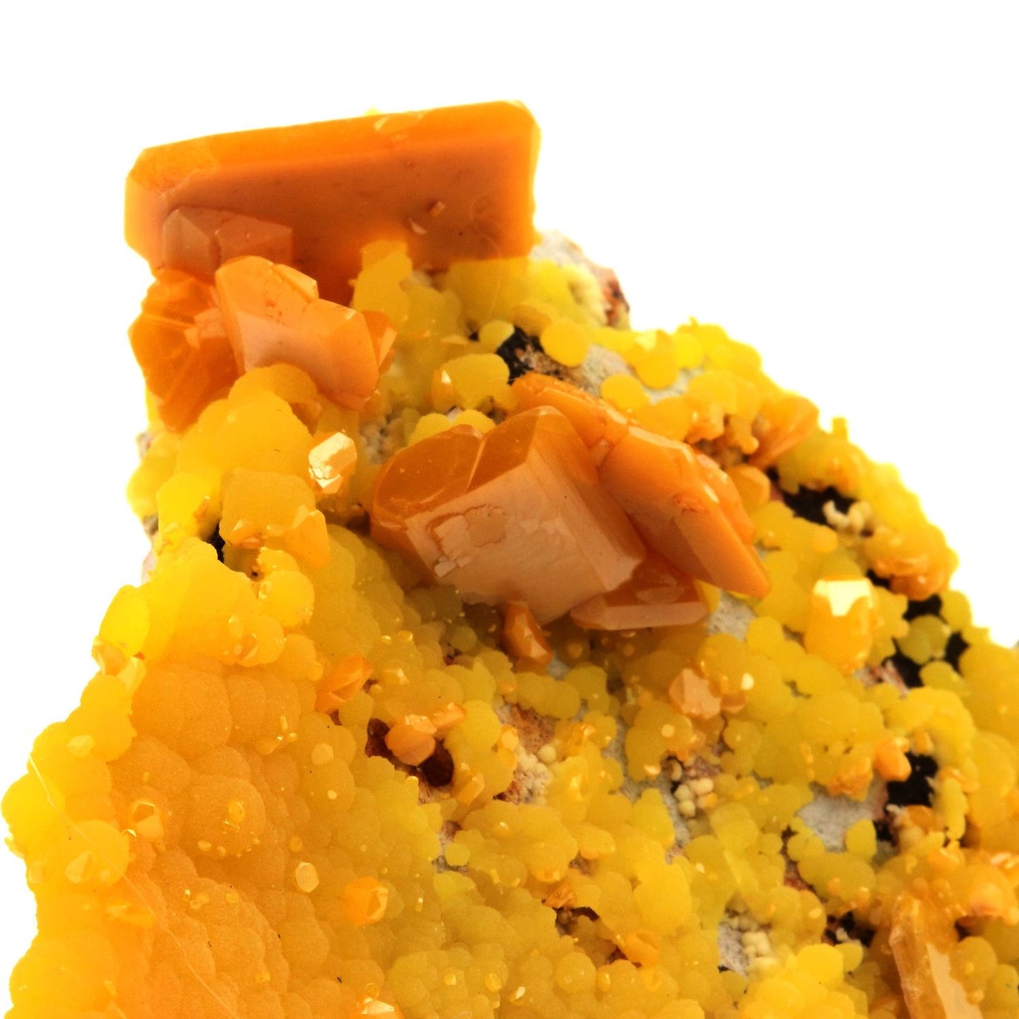 Wulfenite + Mimetite. 395.5 carats. La Morita Mine, Chihuahua, Mexique