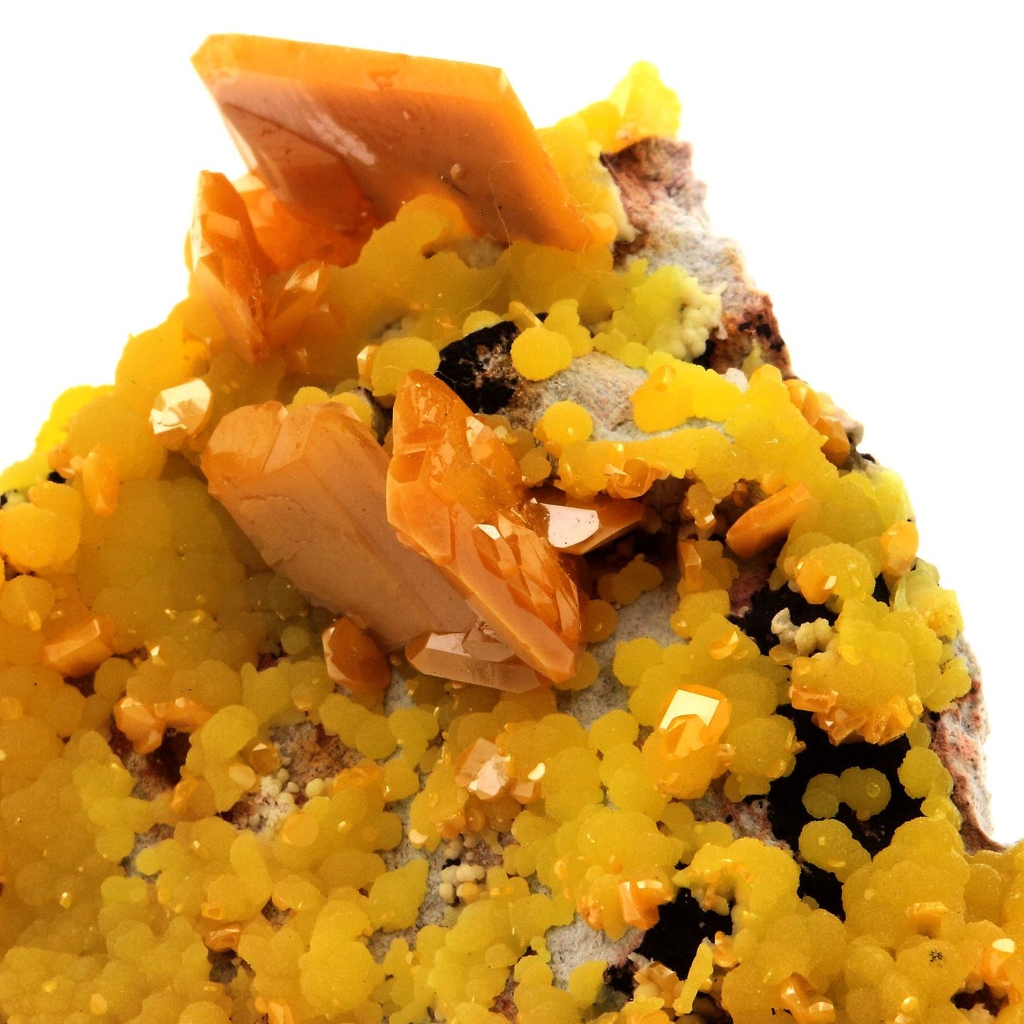 Wulfenite + Mimetite. 395.5 carats. La Morita Mine, Chihuahua, Mexique