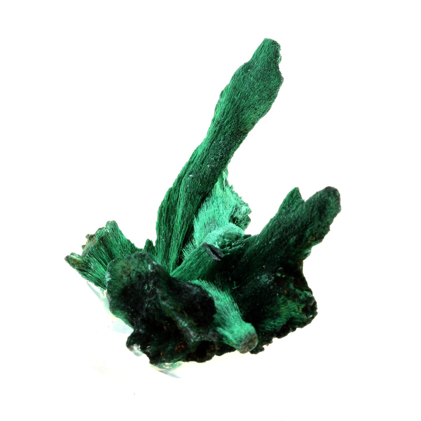 Malachite. 316.5 carats. Katanga, Congo