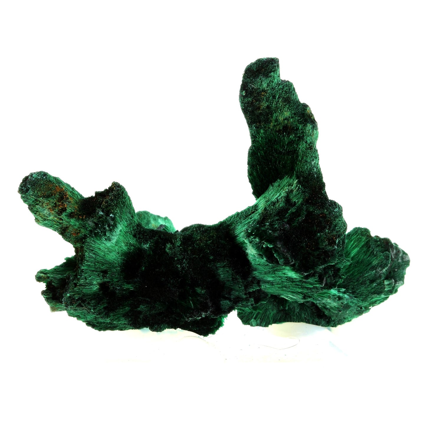 Malachite. 316.5 carats. Katanga, Congo