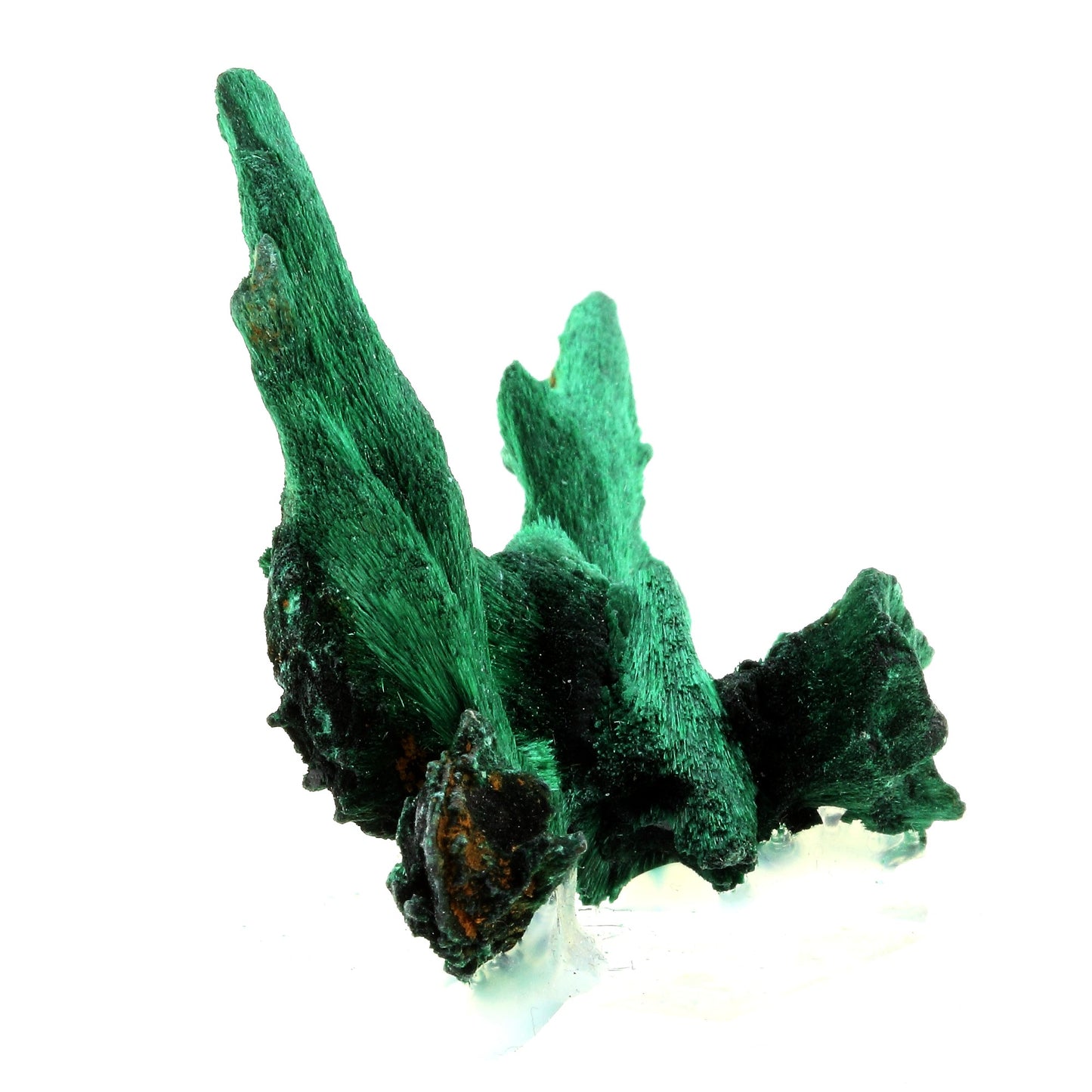 Malachite. 316.5 carats. Katanga, Congo