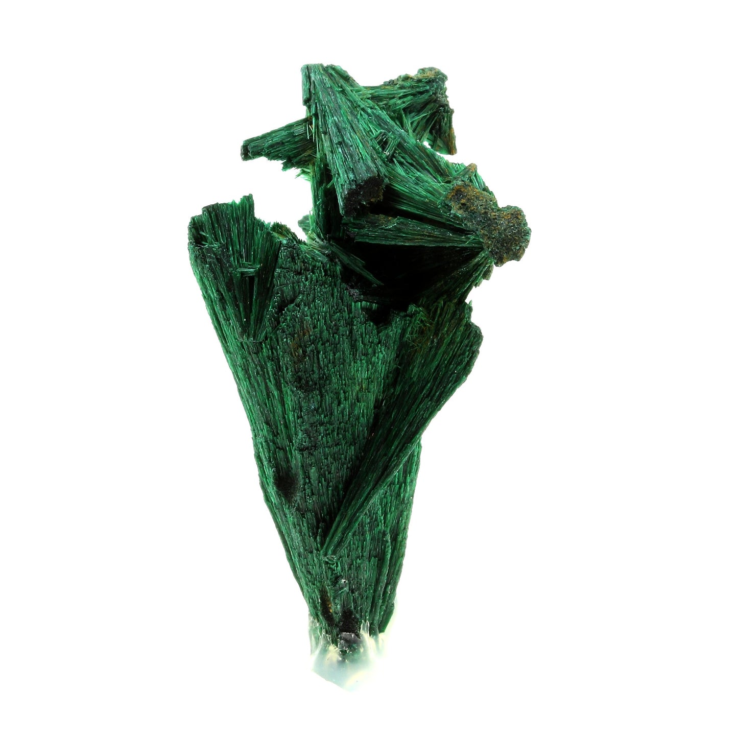 Malachite. 299.0 carats. Katanga, Congo