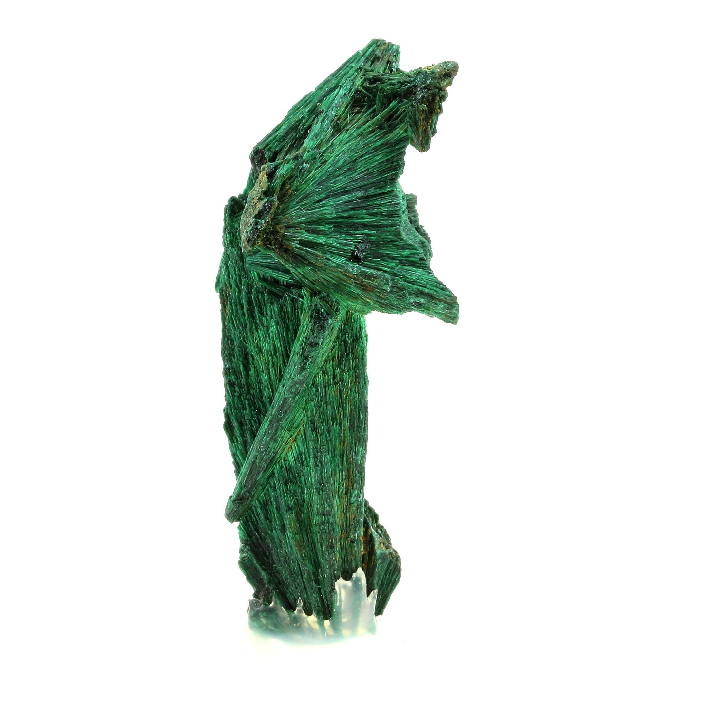 Malachite. 299.0 carats. Katanga, Congo