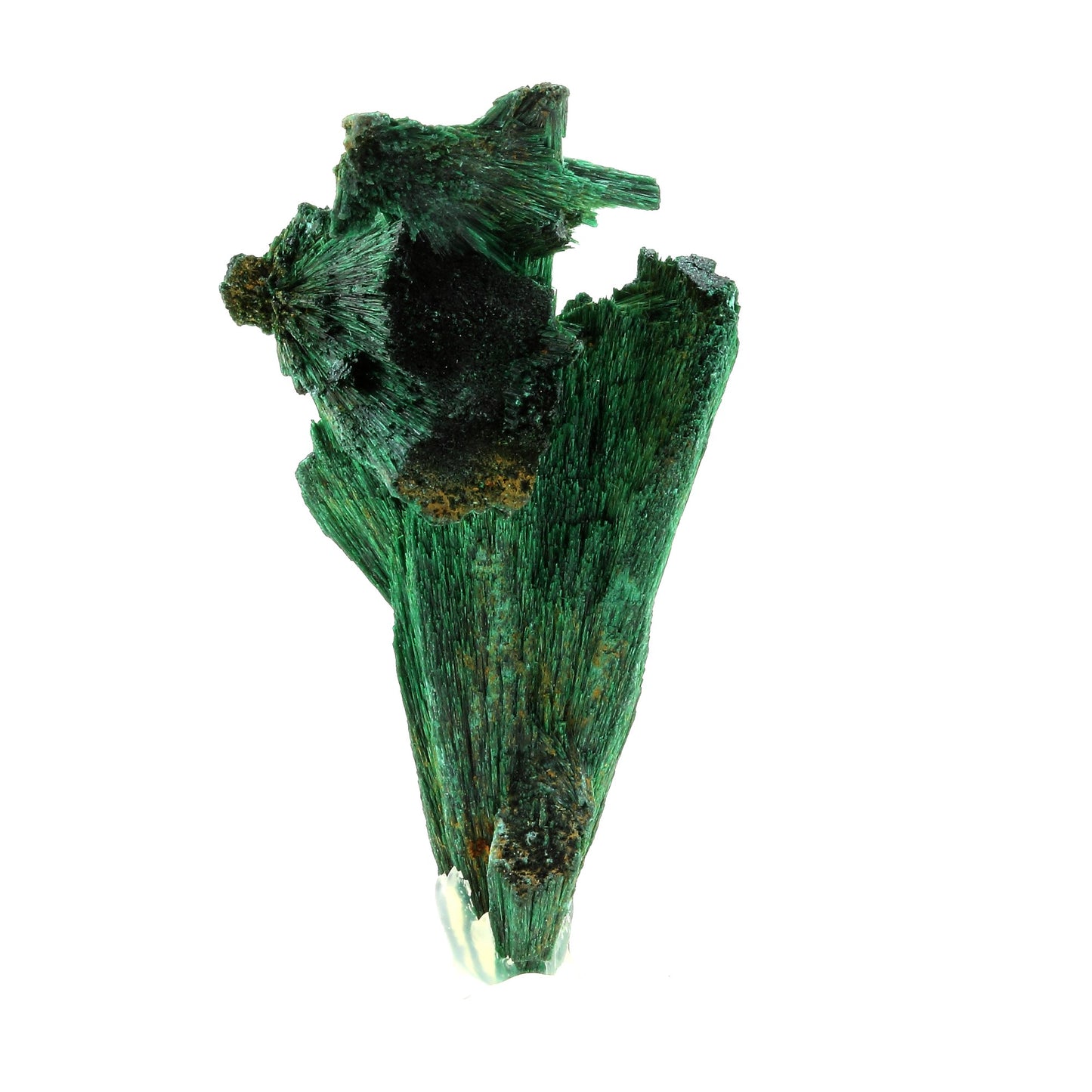 Malachite. 299.0 carats. Katanga, Congo