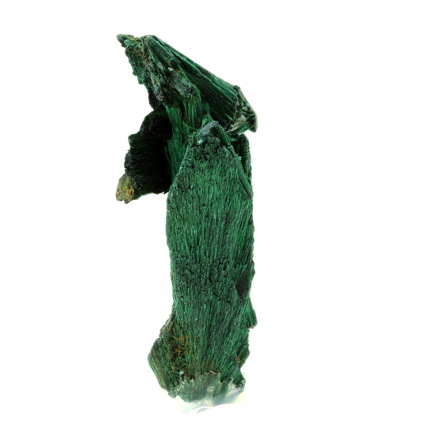 Malachite. 299.0 carats. Katanga, Congo