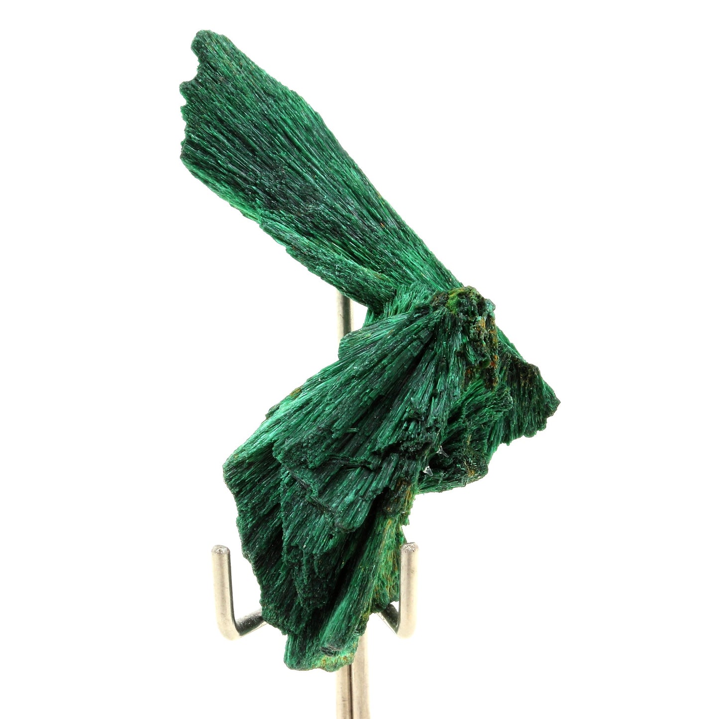 Malachite. 63.5 carats. Katanga, Congo