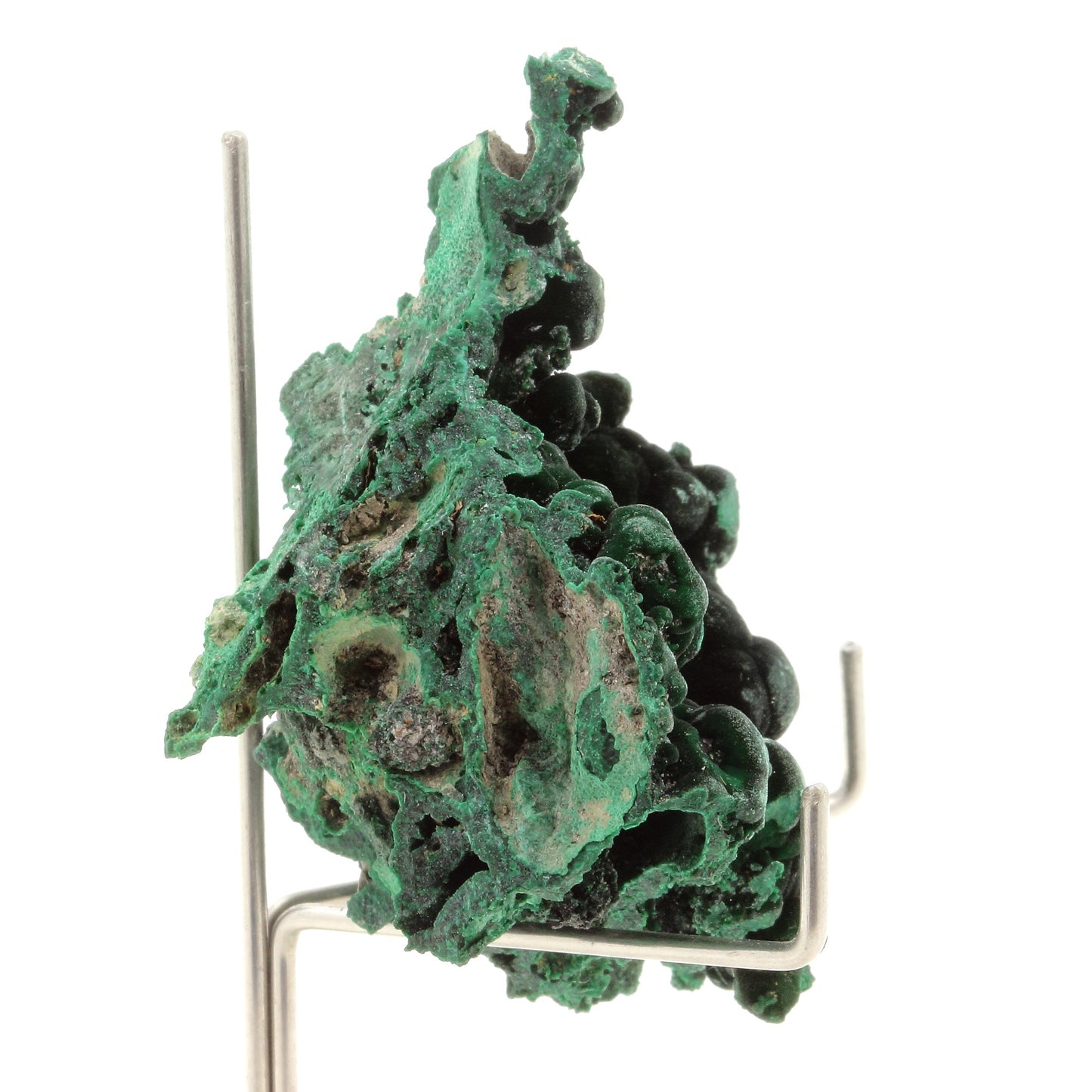 Malachite. 216.0 carats. Kipushi, Haut-Katanga, DR Congo