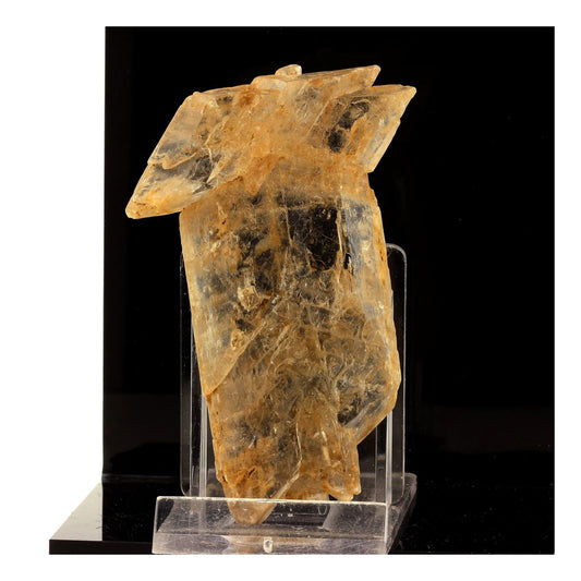 Gypse. 340.0 carats. Naica Mine, Chihuahua, Mexique