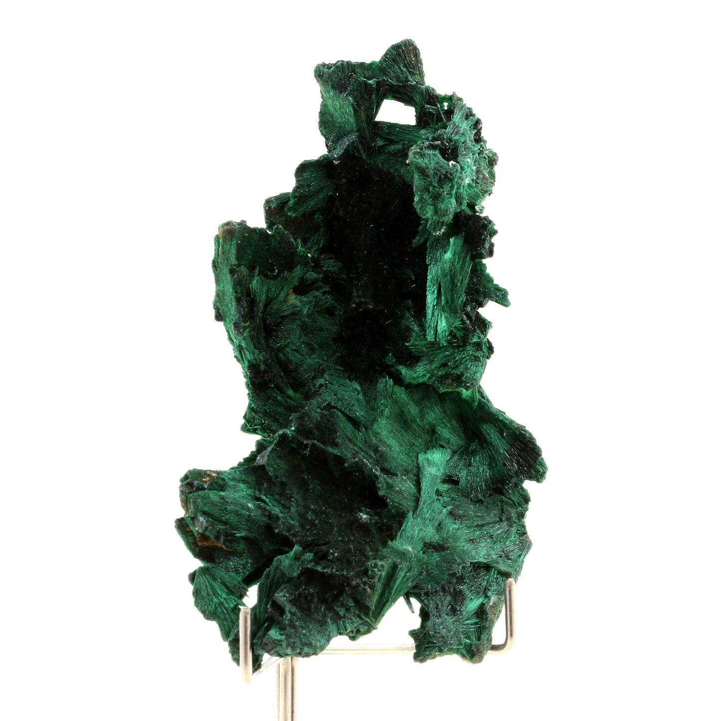 Malachite. 395.0 carats. Katanga, Congo