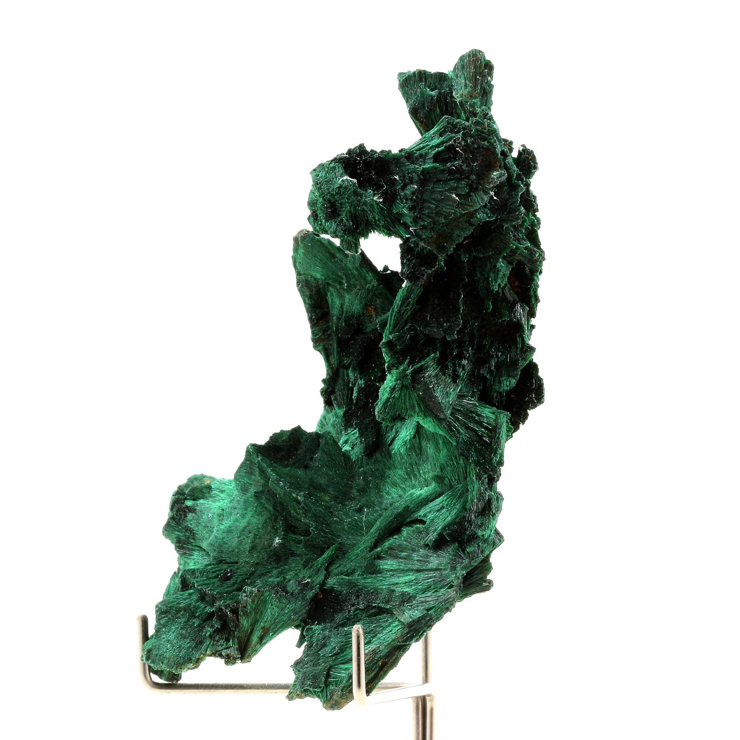 Malachite. 395.0 carats. Katanga, Congo