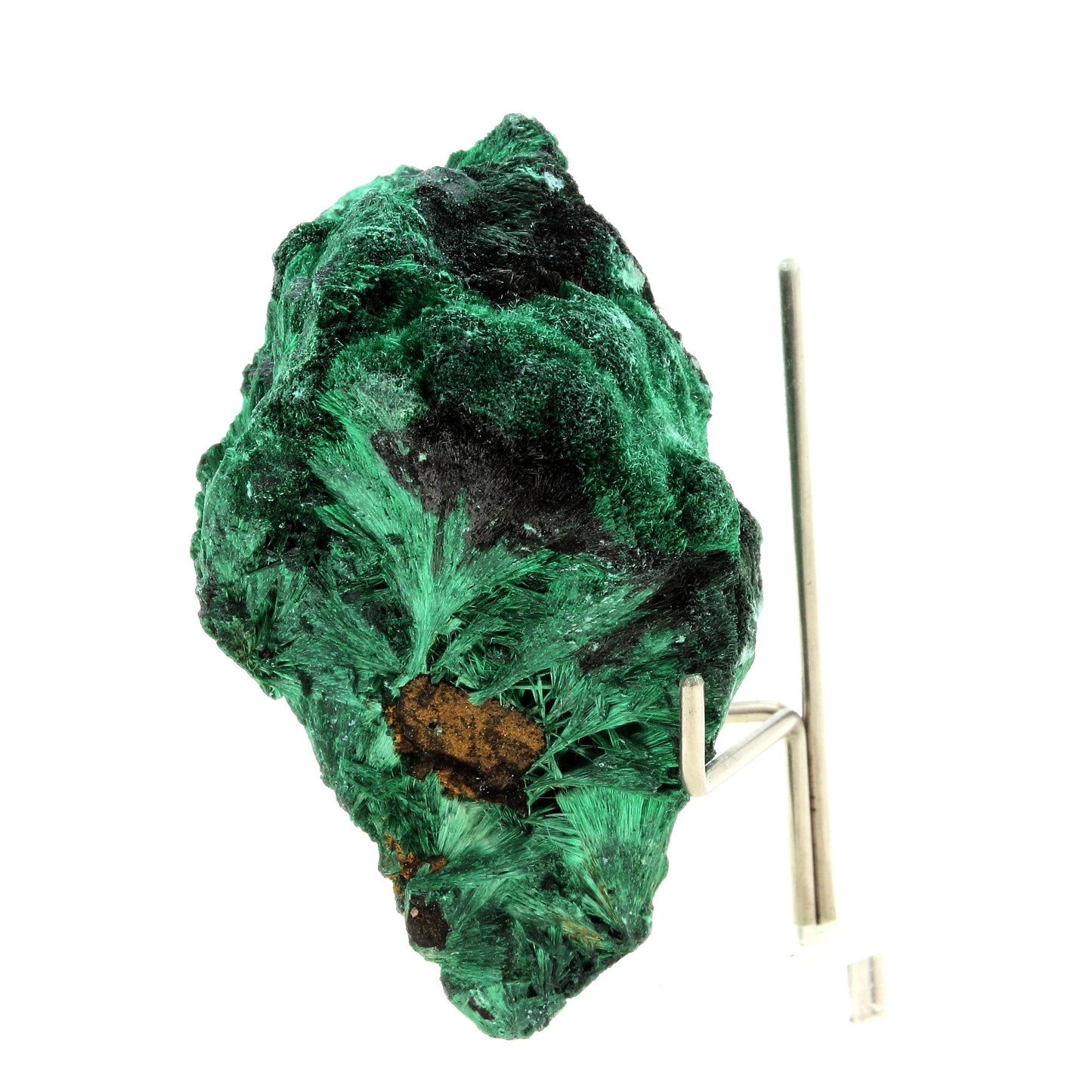 Malachite. 397.0 carats. Mindingi Mine, Kambove, Katanga, Congo