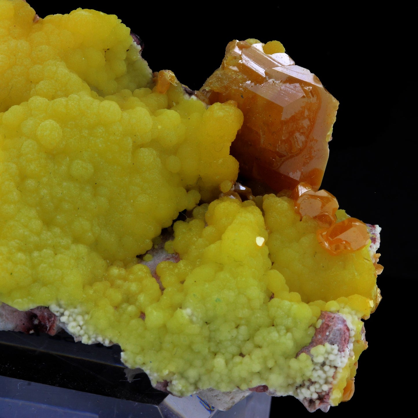 Wulfenite + Mimetite. 485.5 carats. La Morita Mine, Chihuahua, Mexique