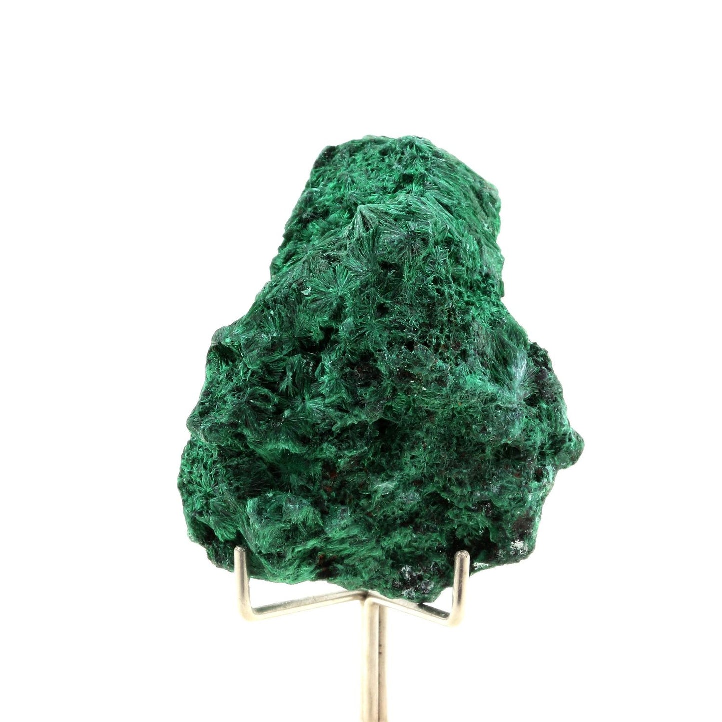 Malachite. 324.0 carats. Katanga, Congo