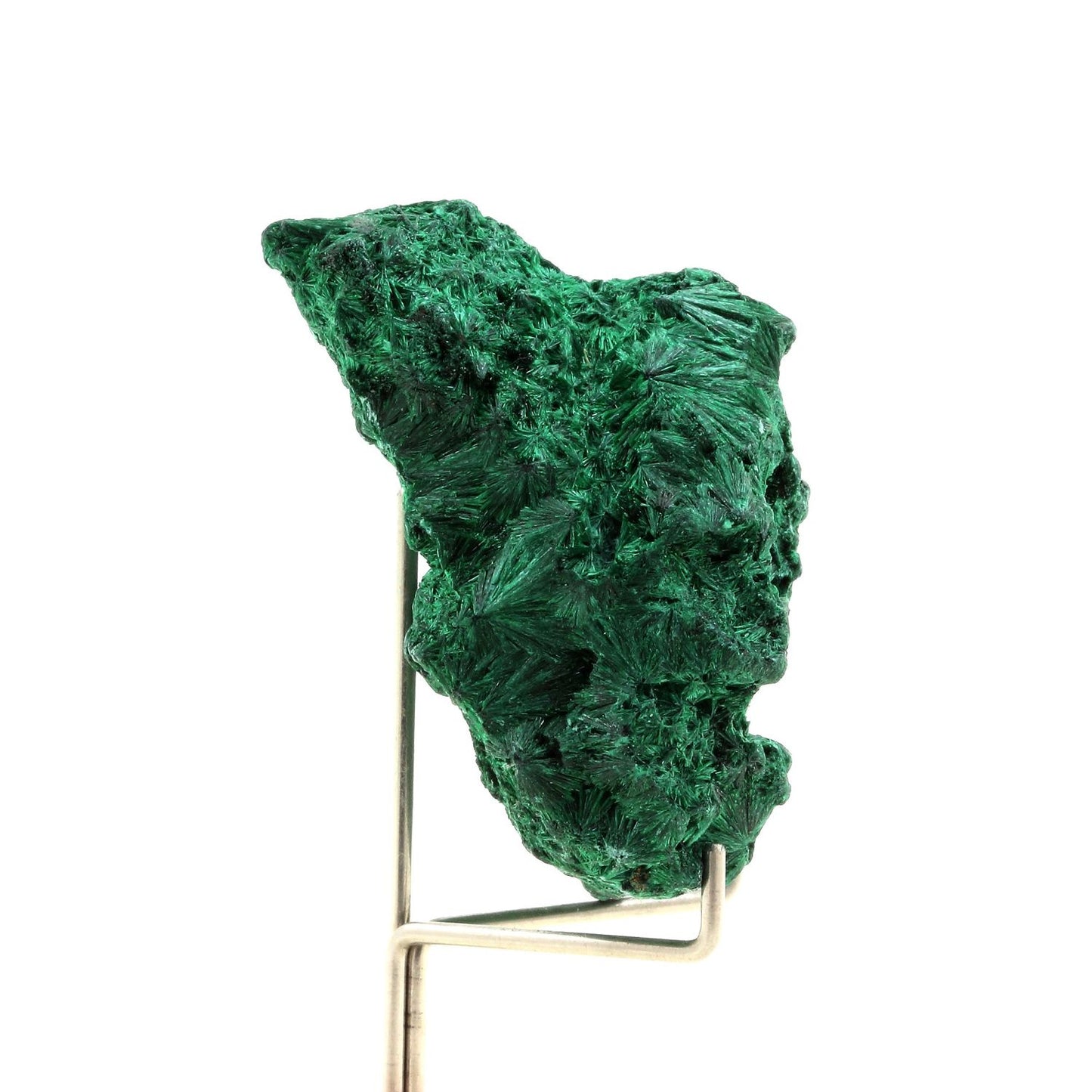 Malachite. 324.0 carats. Katanga, Congo