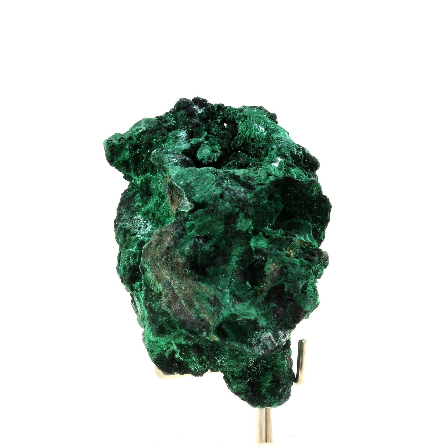 Malachite. 389.5 carats. Katanga, Congo