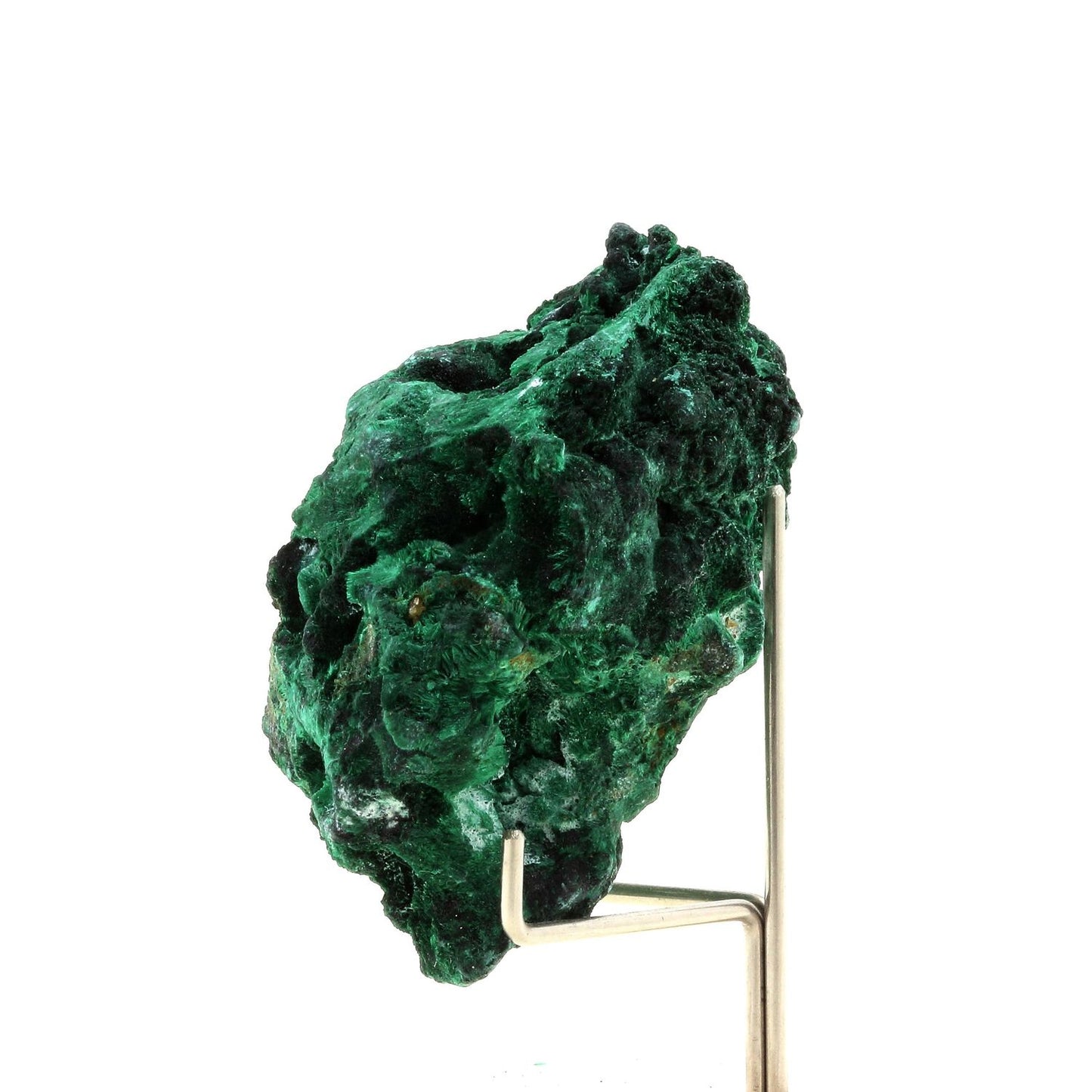 Malachite. 389.5 carats. Katanga, Congo