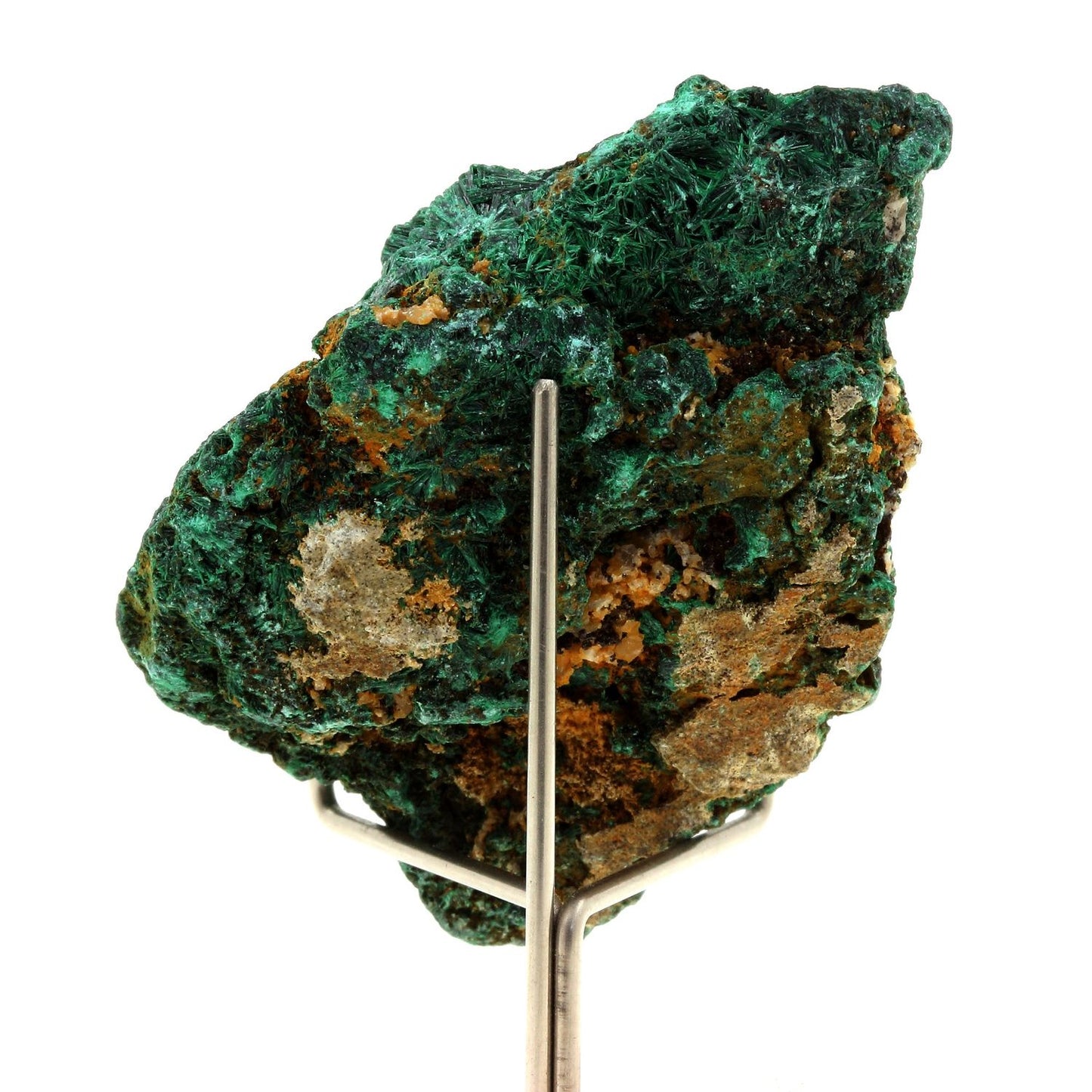 Malachite. 335.0 carats. Katanga, Congo