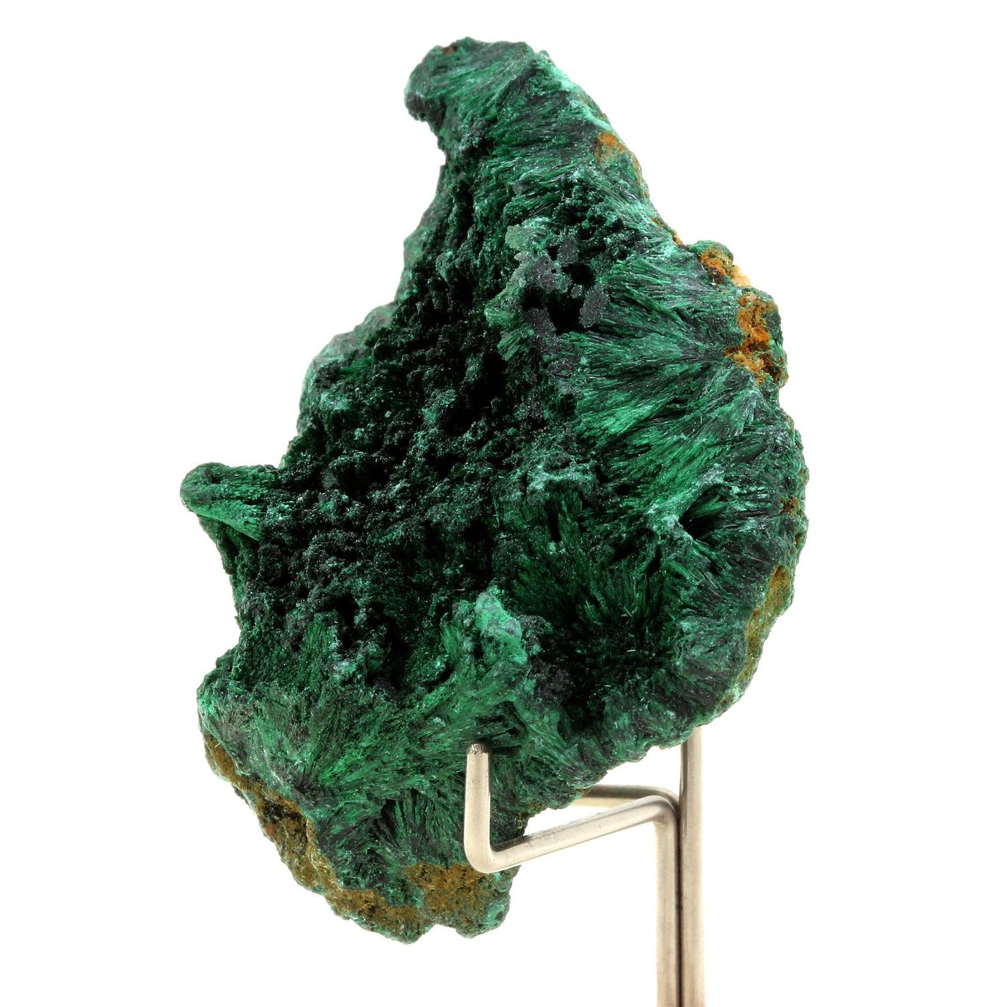 Malachite. 335.0 carats. Katanga, Congo