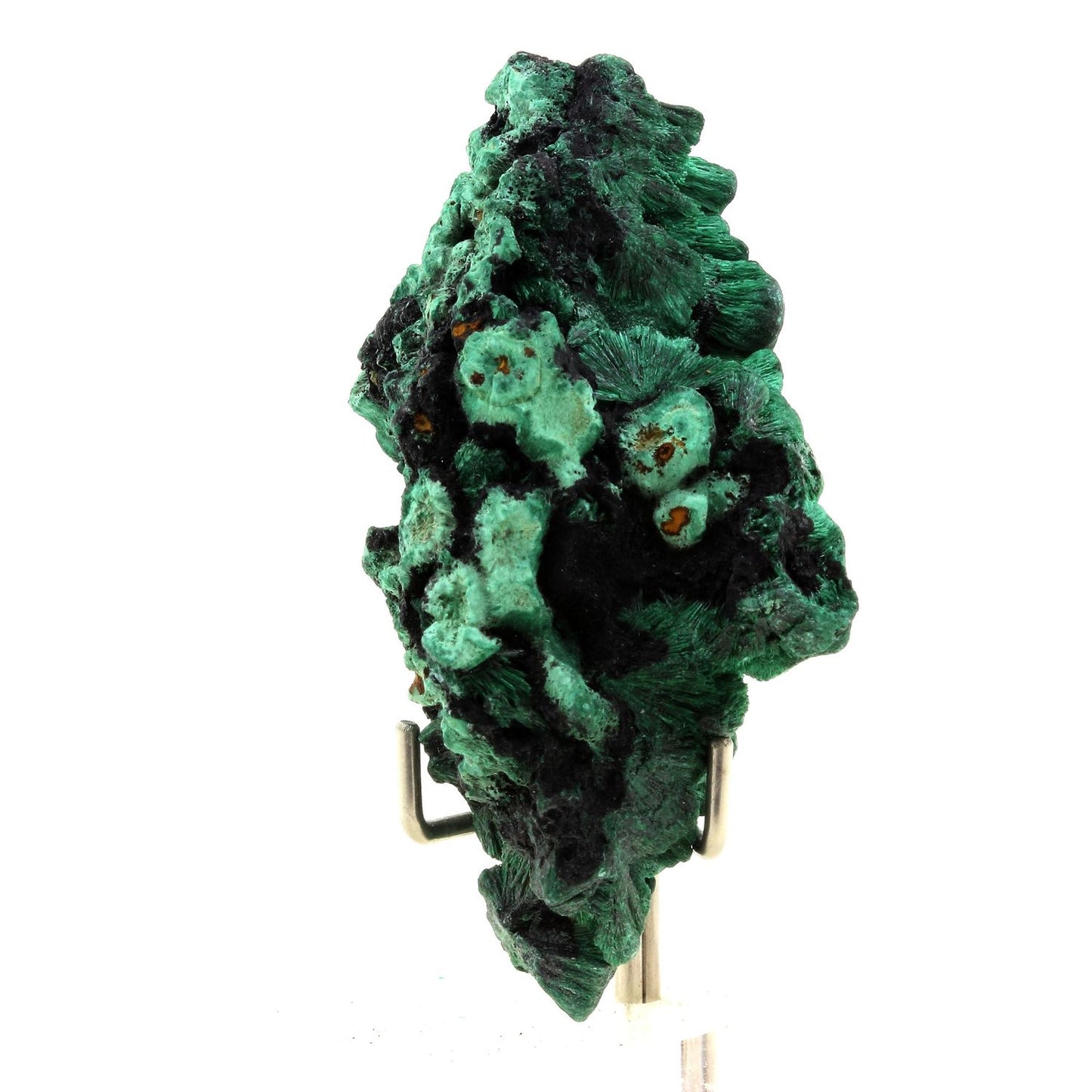 Malachite. 268.0 carats. Katanga, Congo