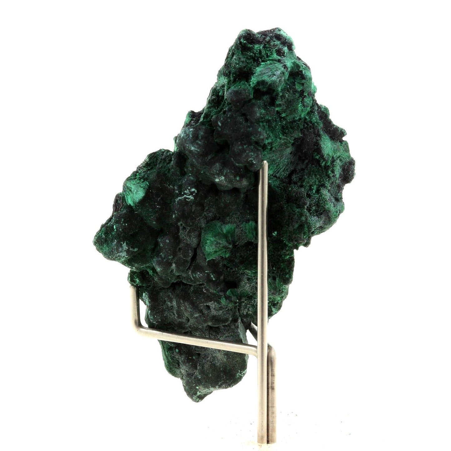 Malachite. 268.0 carats. Katanga, Congo