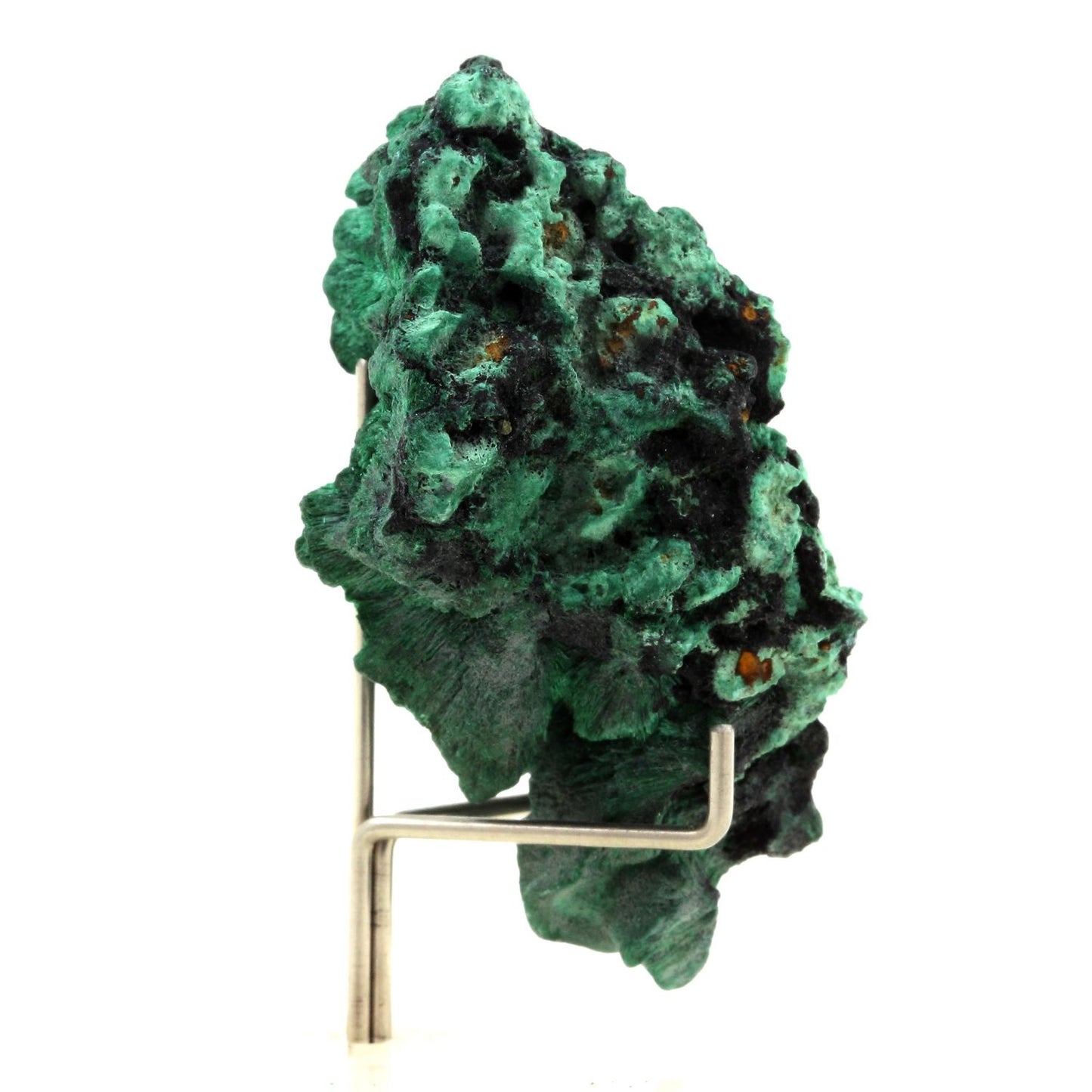 Malachite. 268.0 carats. Katanga, Congo