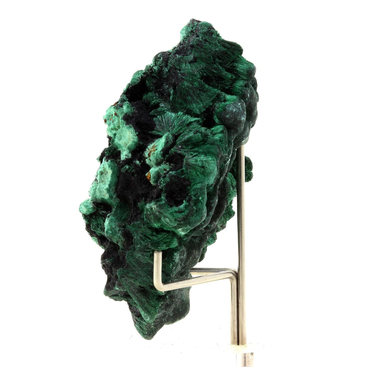 Malachite. 268.0 carats. Katanga, Congo