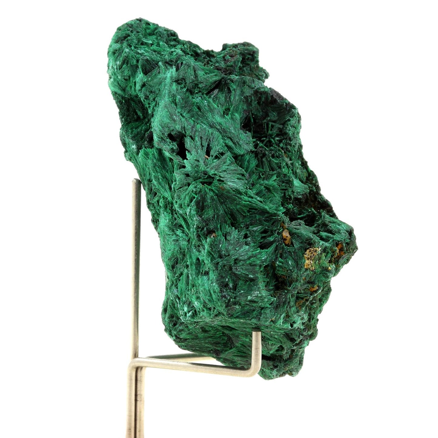 Malachite. 399.0 carats. Katanga, Congo