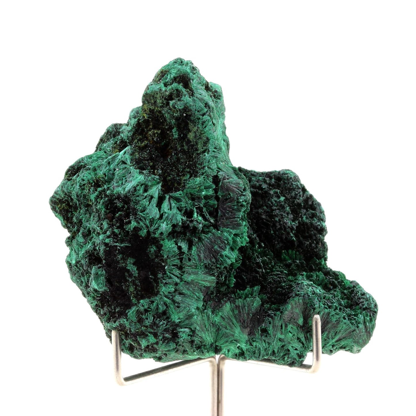 Malachite. 608.5 carats. Katanga, Congo