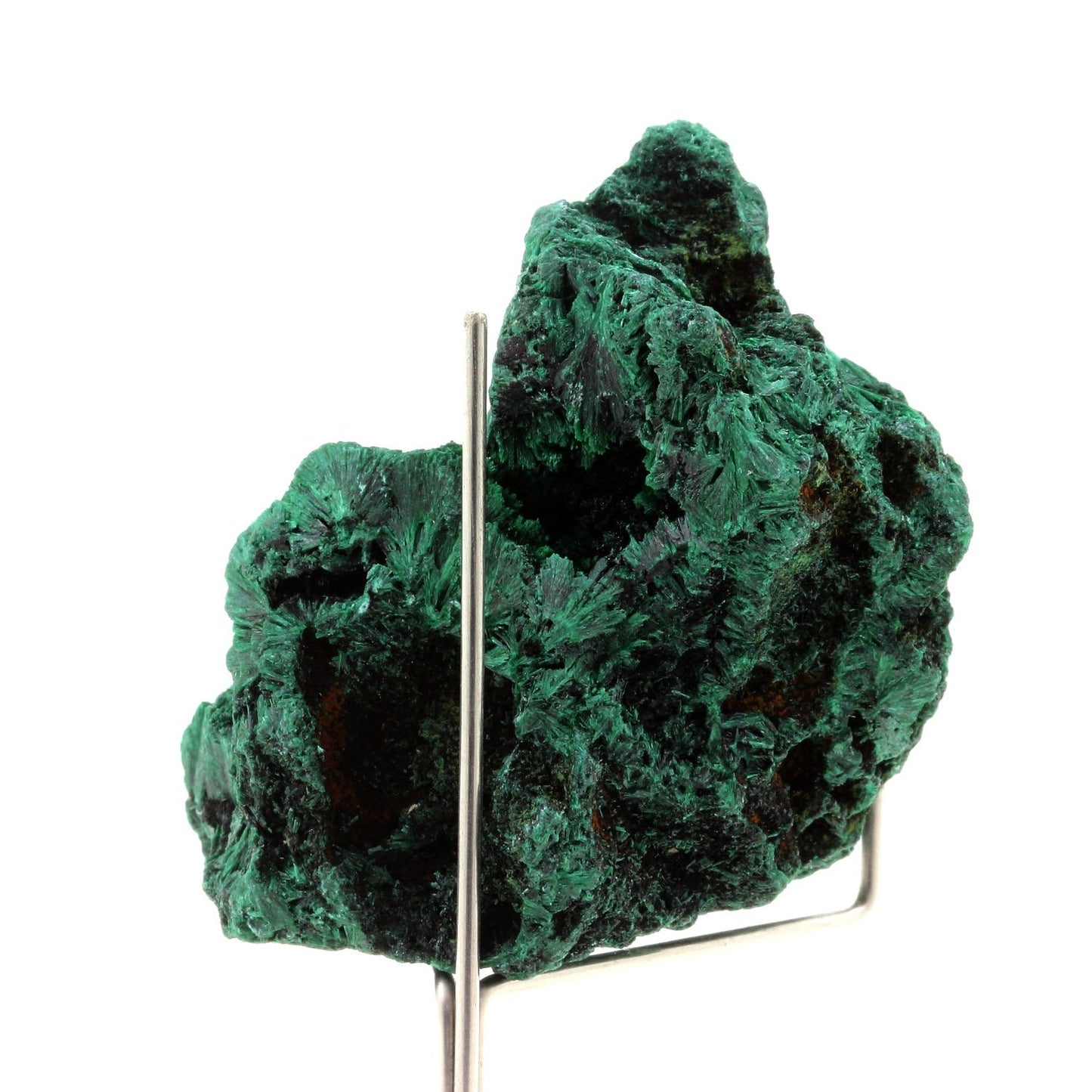 Malachite. 608.5 carats. Katanga, Congo