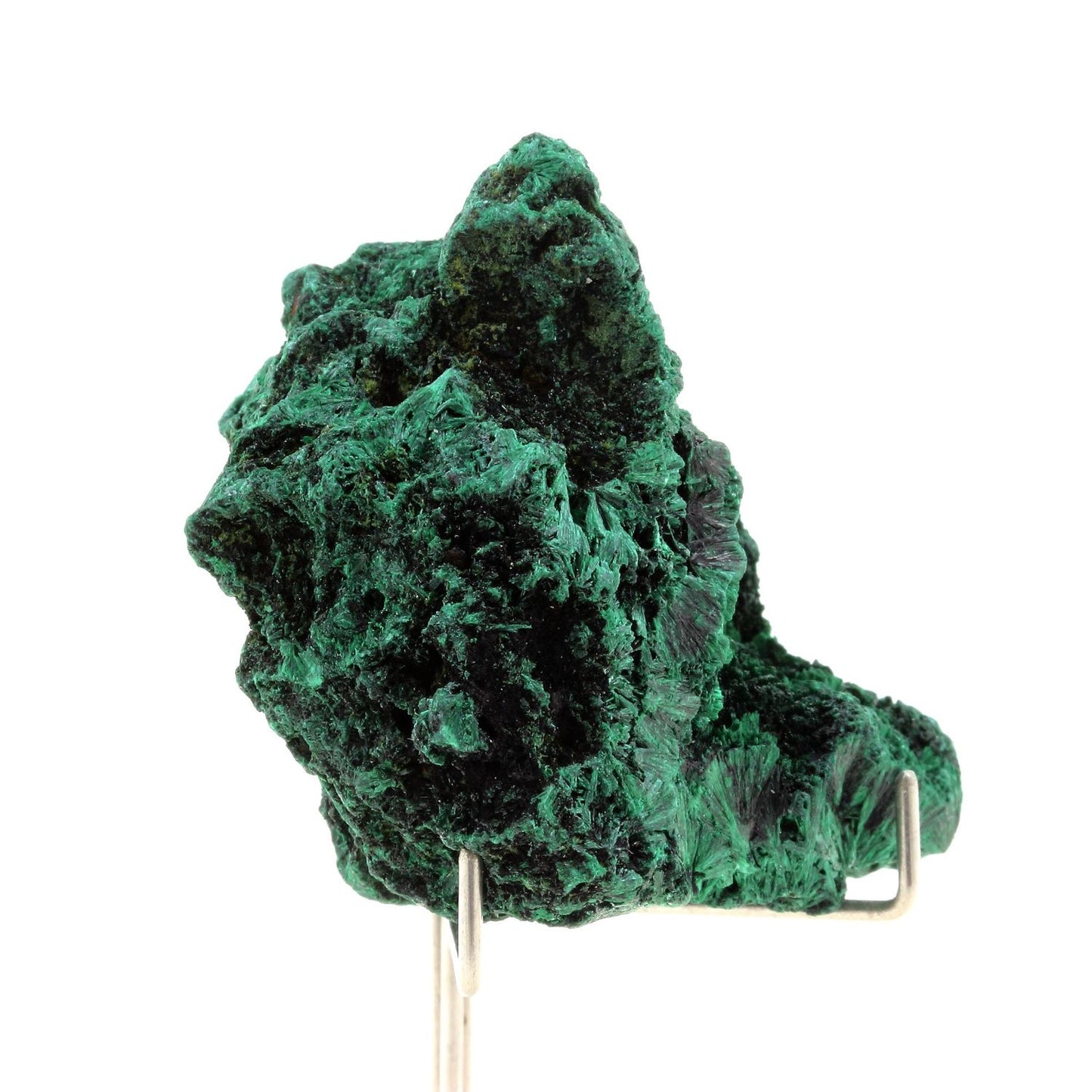 Malachite. 608.5 carats. Katanga, Congo