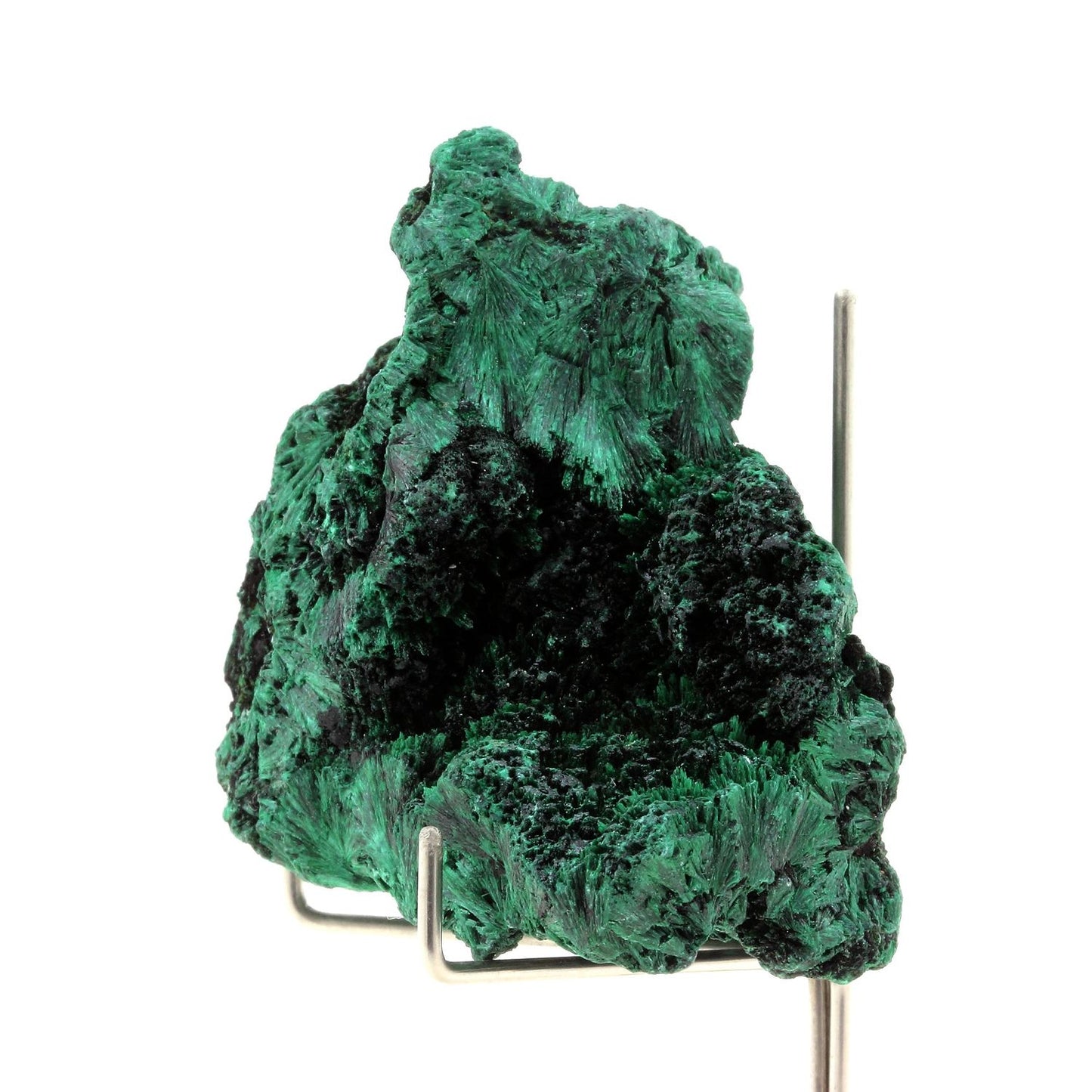 Malachite. 608.5 carats. Katanga, Congo