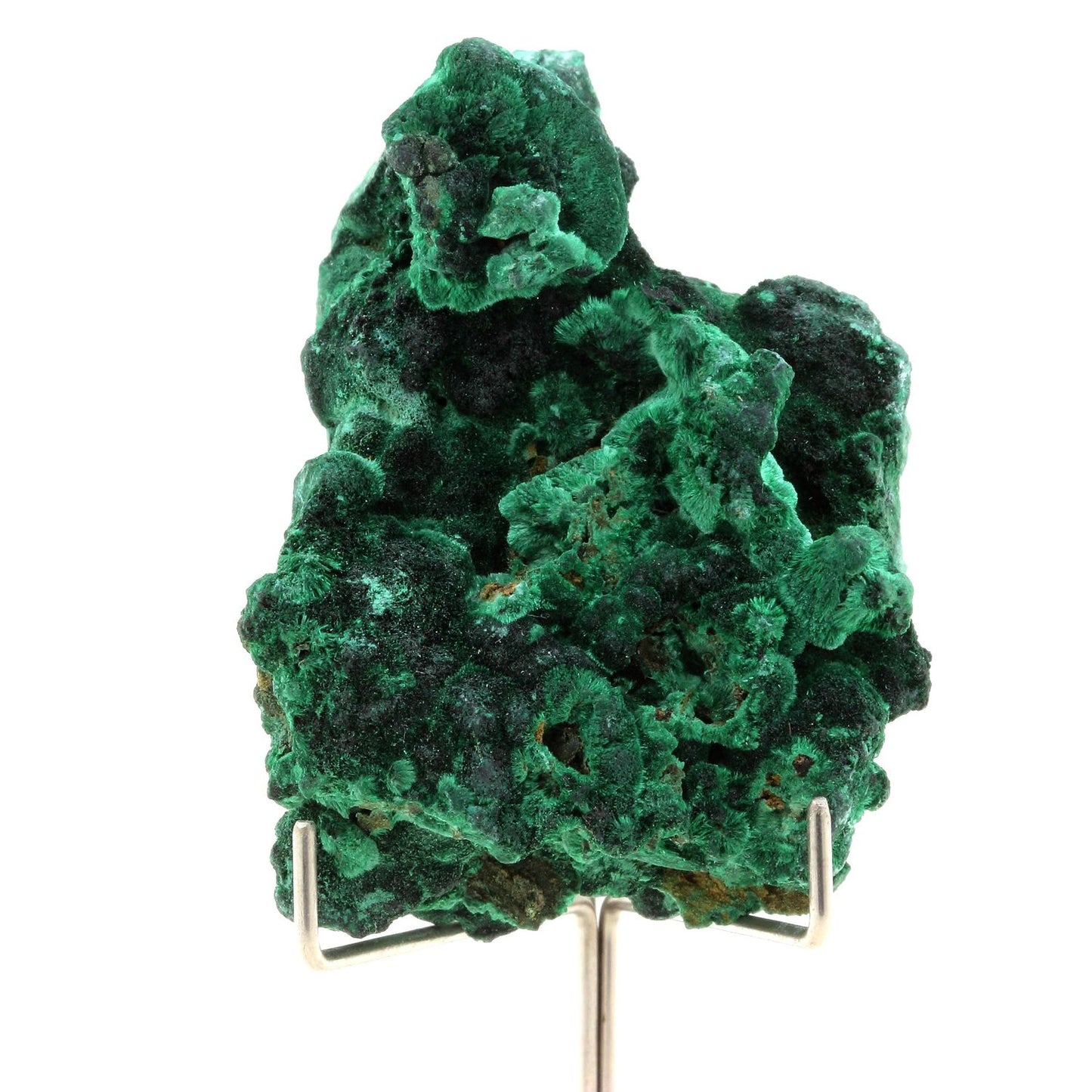 Malachite. 524.5 carats. Katanga, Congo