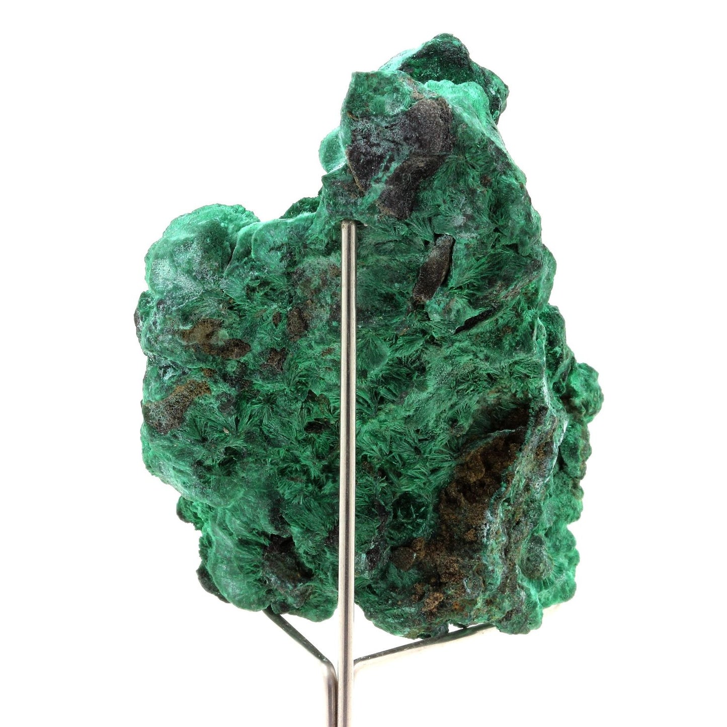 Malachite. 524.5 carats. Katanga, Congo