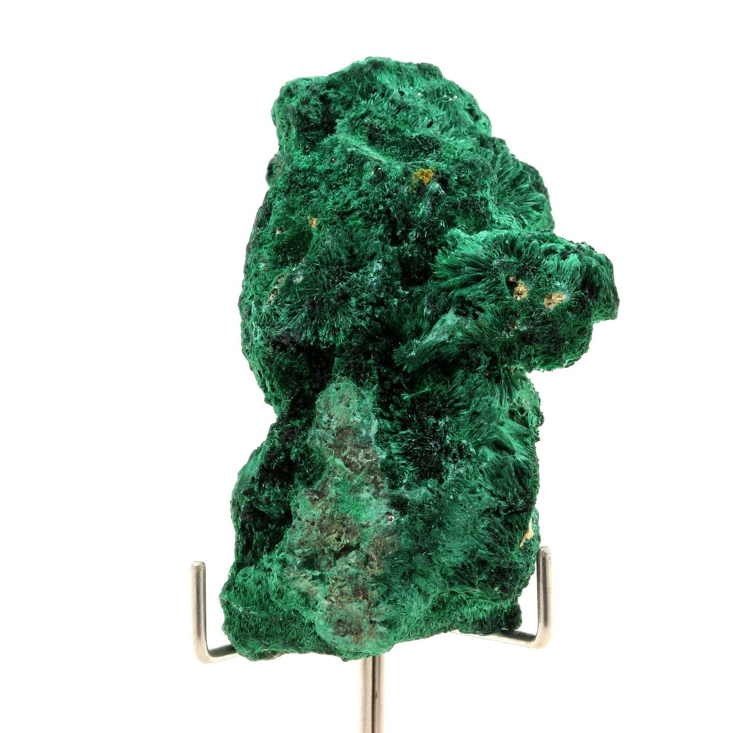 Malachite. 401.5 carats. Katanga, Congo