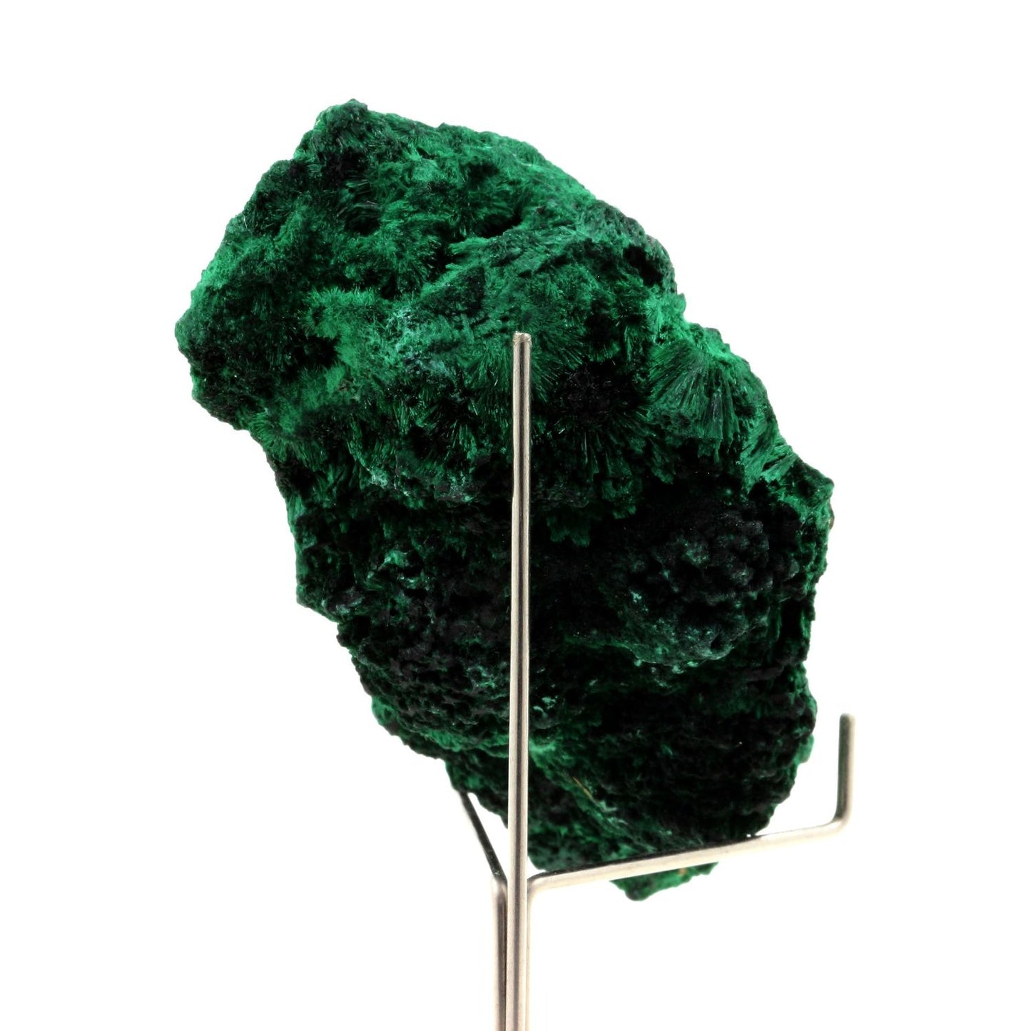 Malachite. 556.5 carats. Katanga, Congo