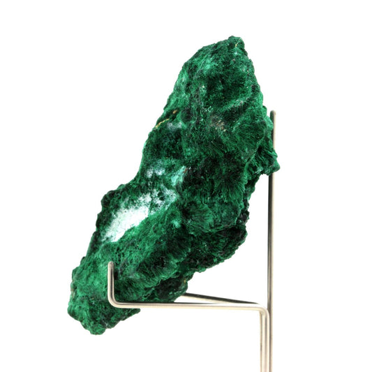 Malachite. 556.5 carats. Katanga, Congo