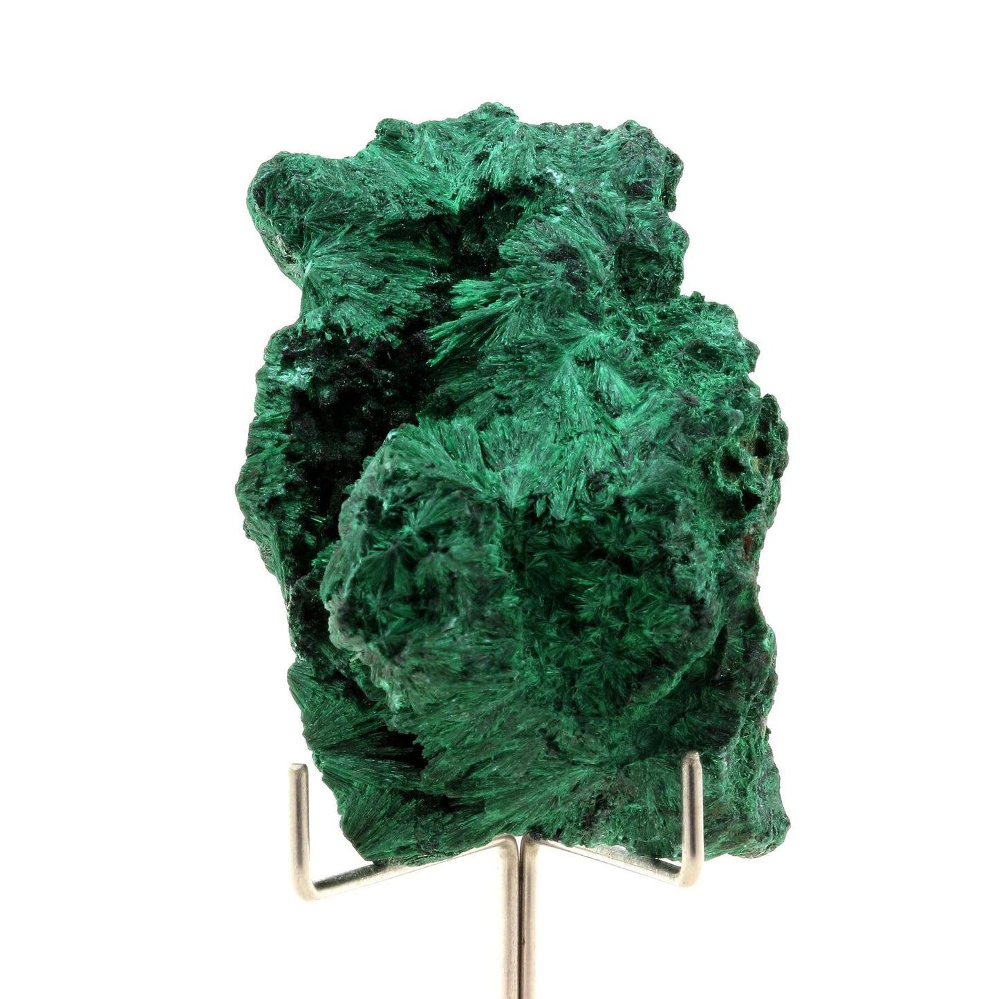 Malachite. 540.0 carats. Katanga, Congo