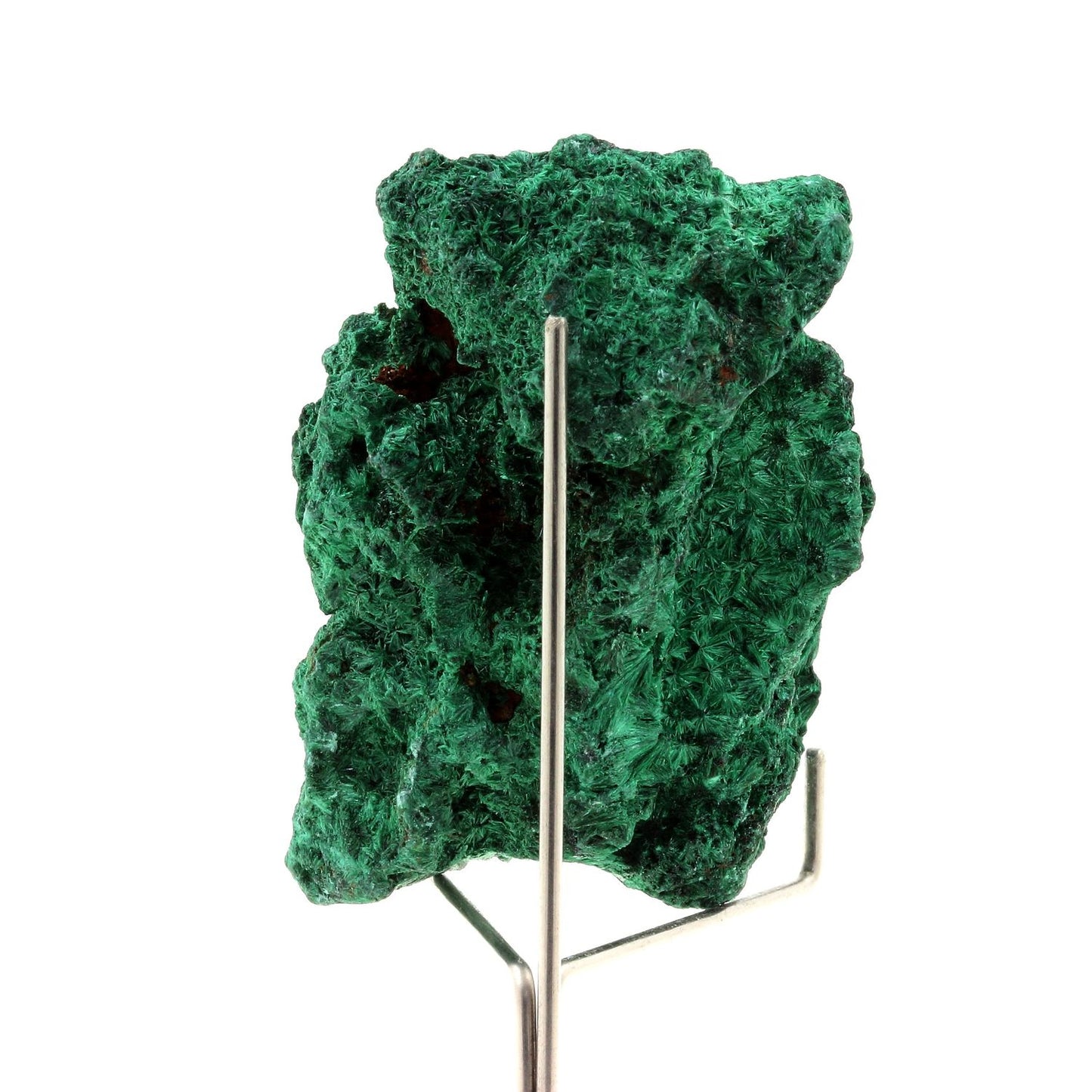 Malachite. 540.0 carats. Katanga, Congo