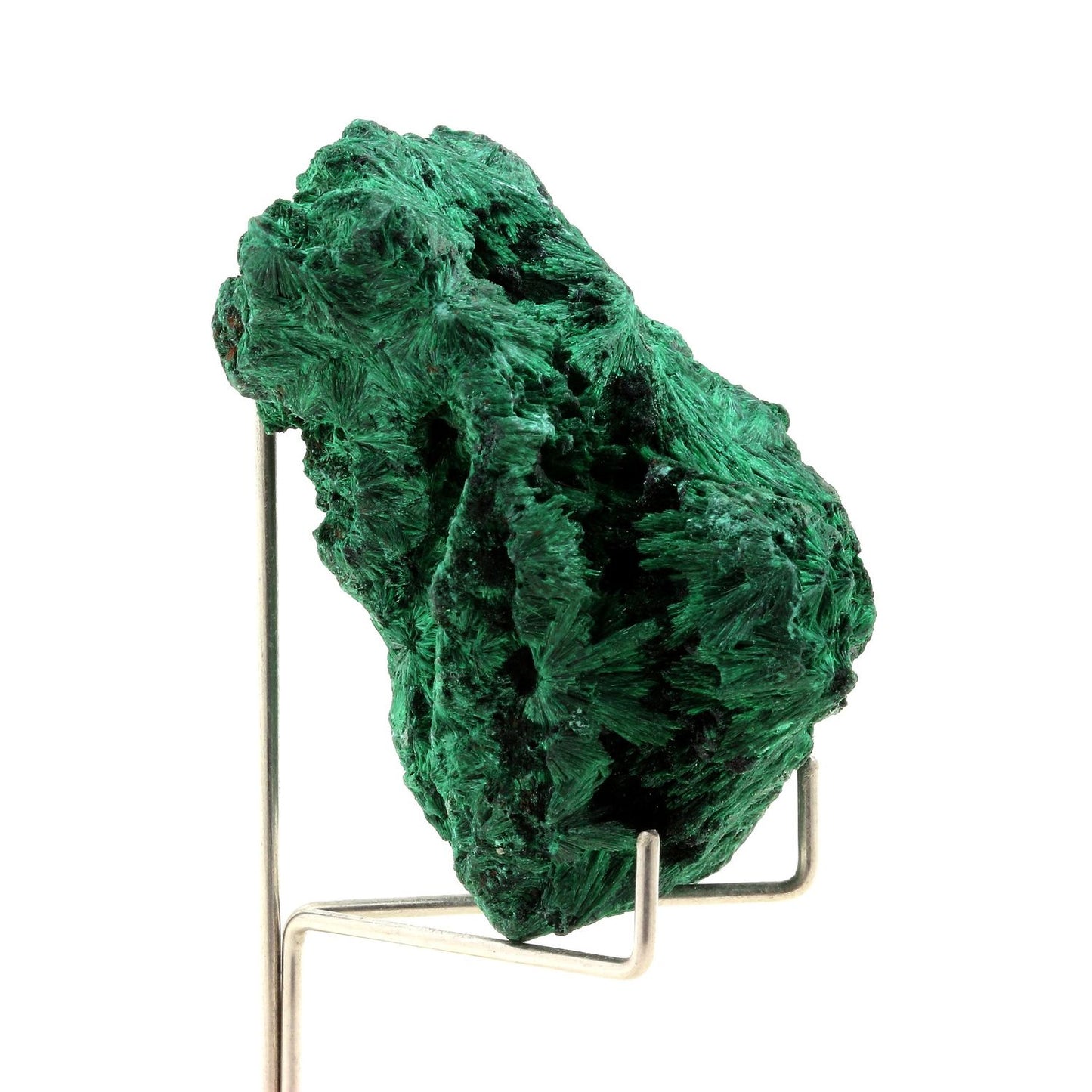 Malachite. 540.0 carats. Katanga, Congo