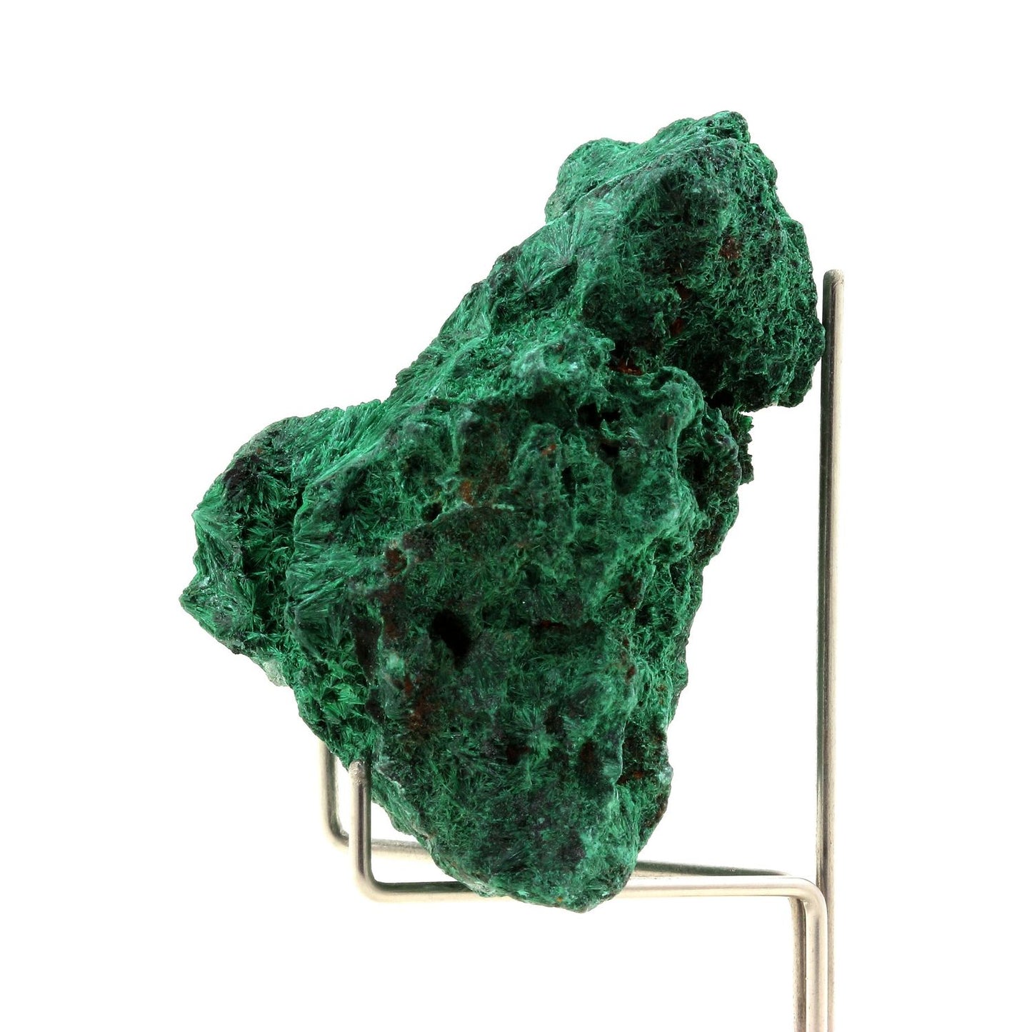 Malachite. 540.0 carats. Katanga, Congo