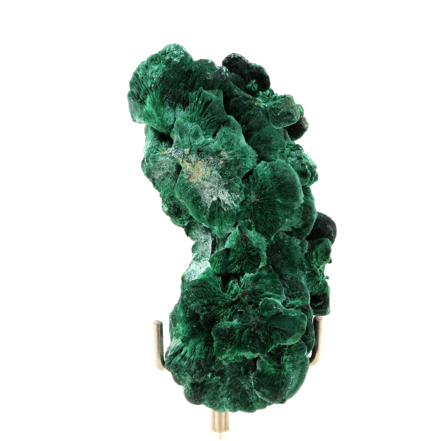 Malachite. 286.5 carats. Katanga, Congo