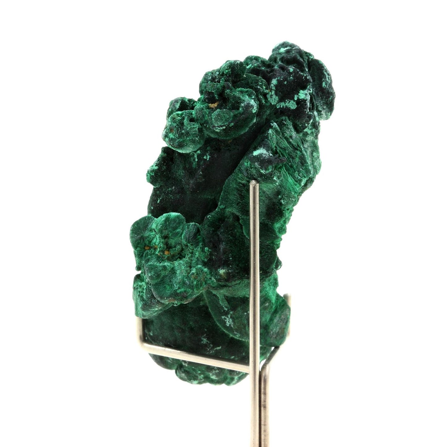 Malachite. 286.5 carats. Katanga, Congo