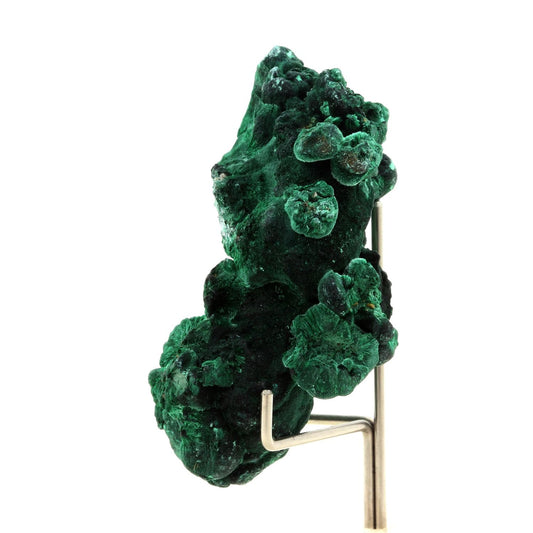 Malachite. 286.5 carats. Katanga, Congo