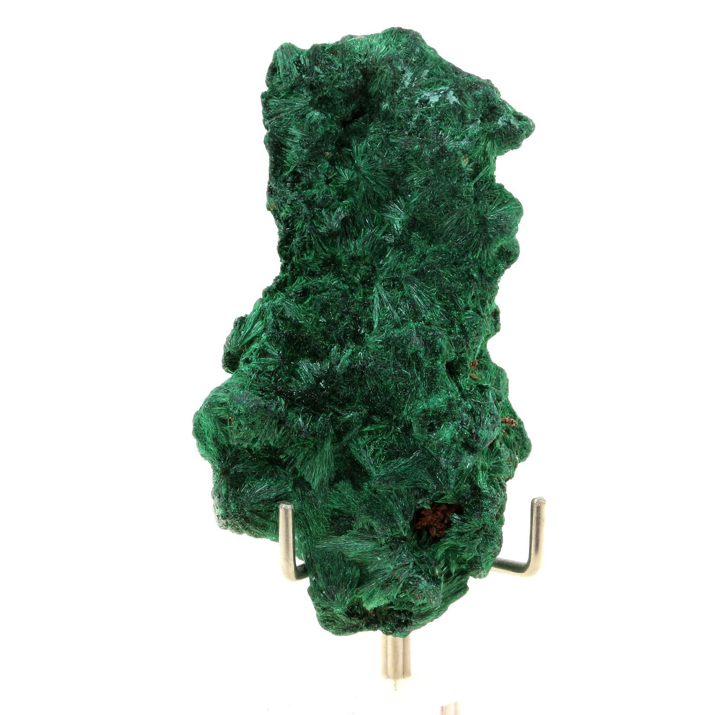 Malachite. 203.0 carats. Katanga, Congo